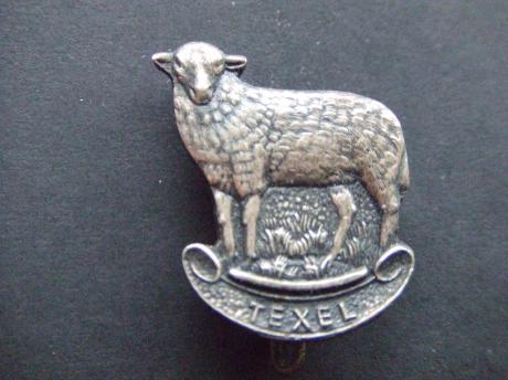Texel, schaap wol zilverkleurige broche